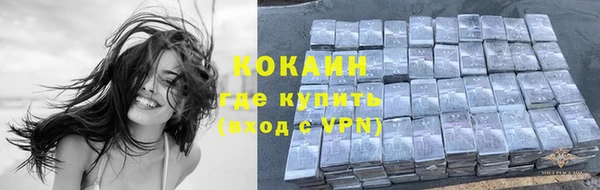 дурь Нея